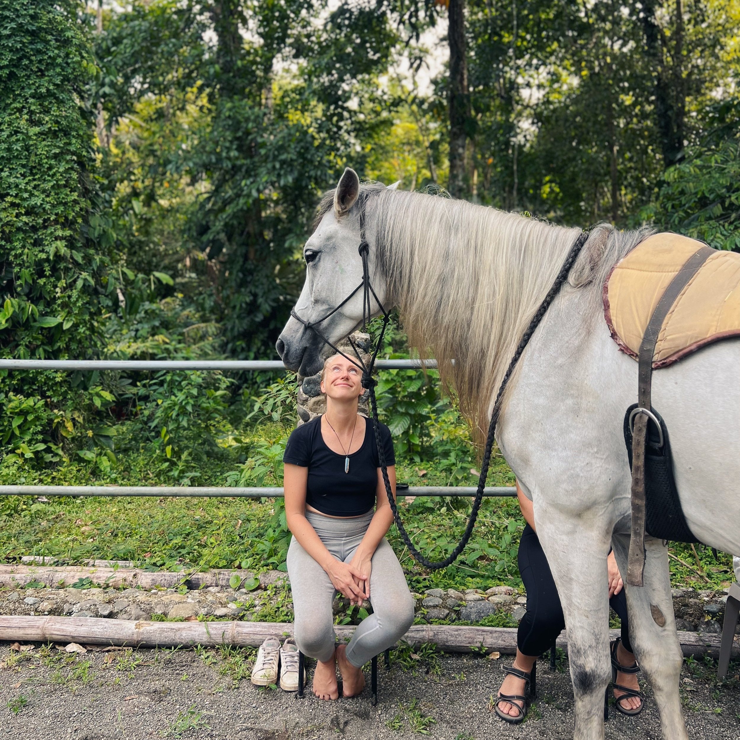 Healing with Horses, Tuning Into the Horse's World