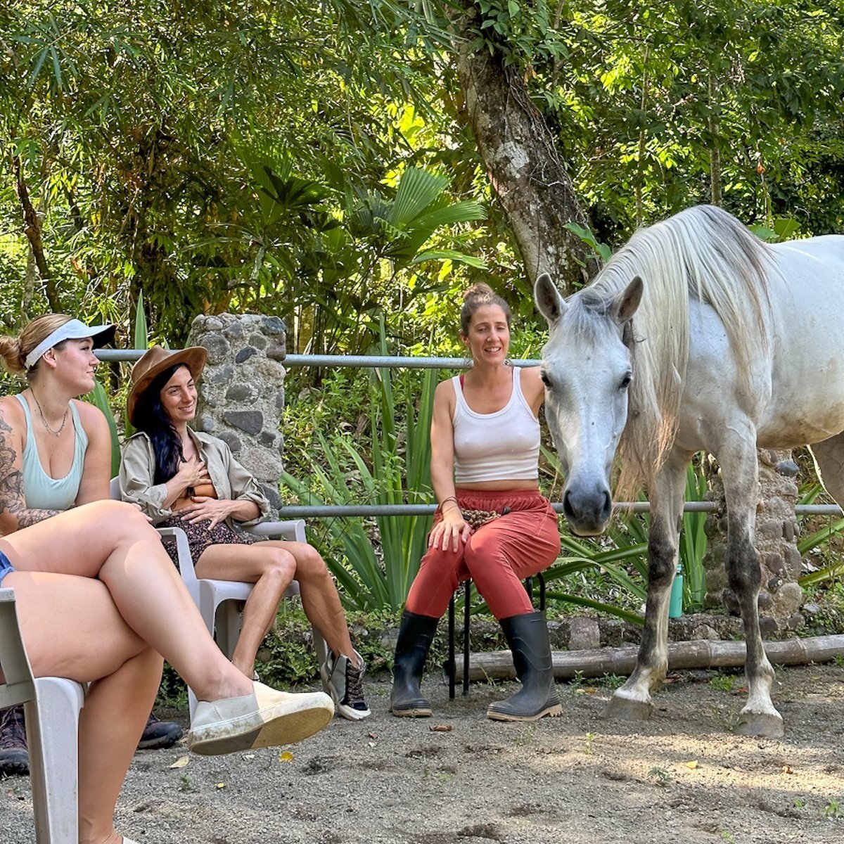 Interactive Group Equine Healing Session