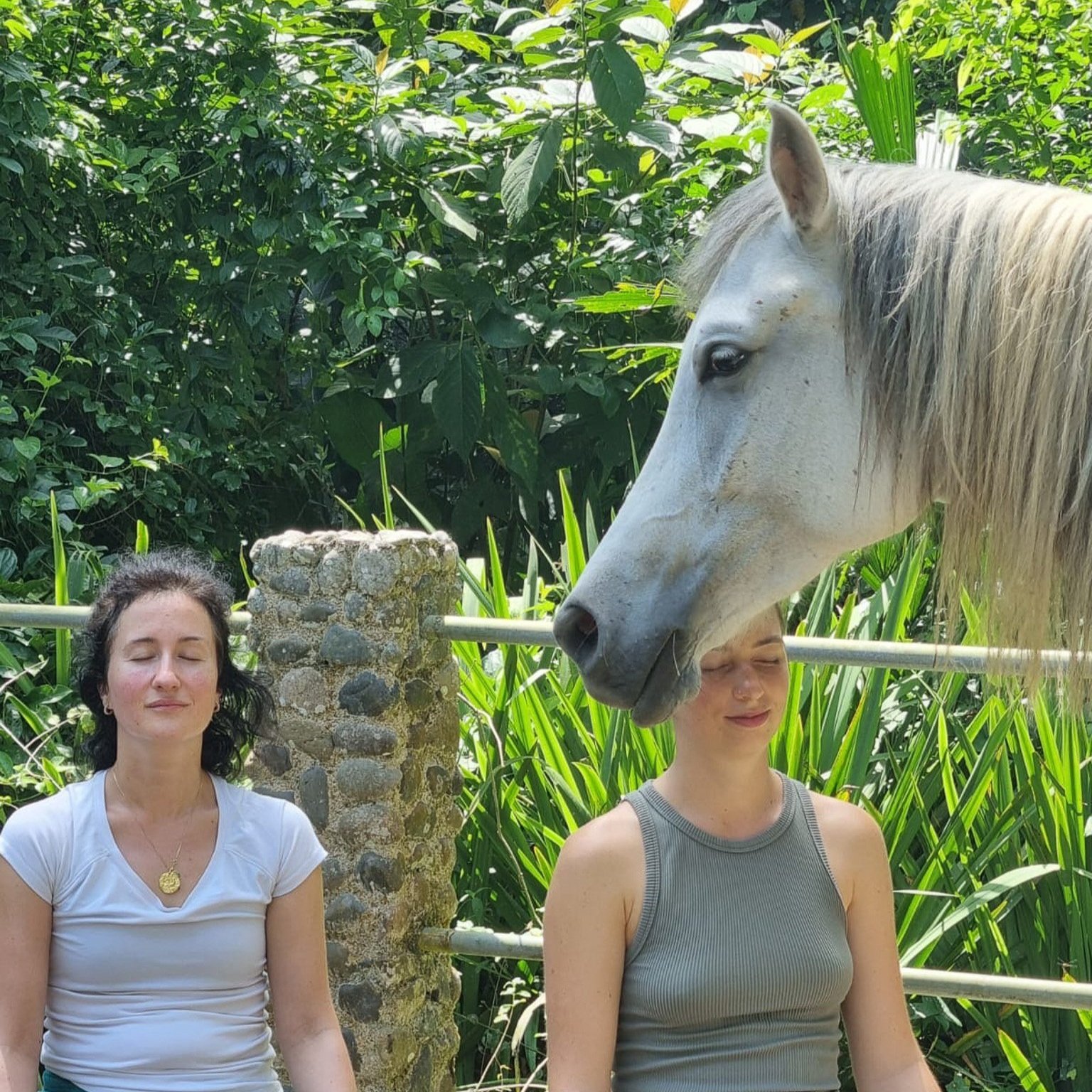 Meditation with Horses