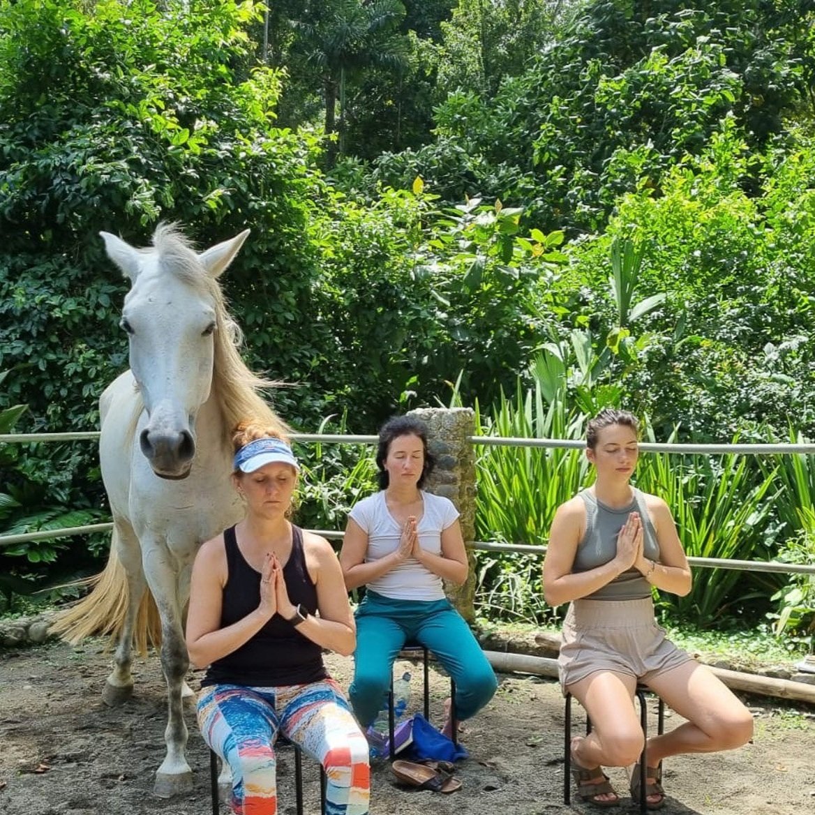 Mindfulness Meditation with Horses