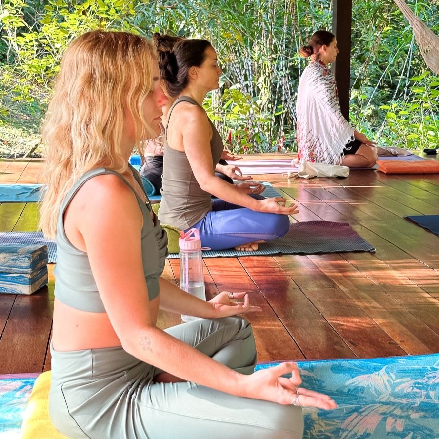 Yoga Classes Restorative &amp; Nidra