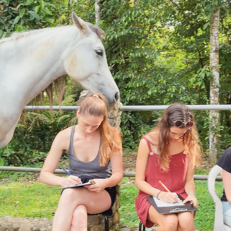 Enhanced Yoga Learning with Horses