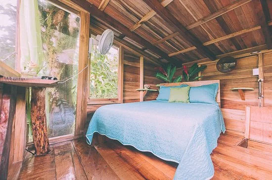 private-tree-house-5.jpg