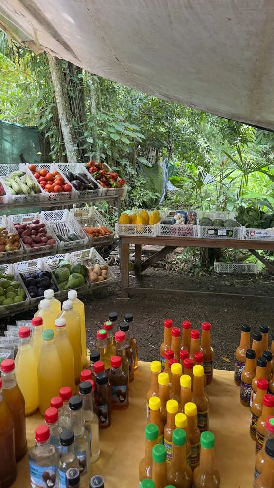 Punta Uva outdoor market