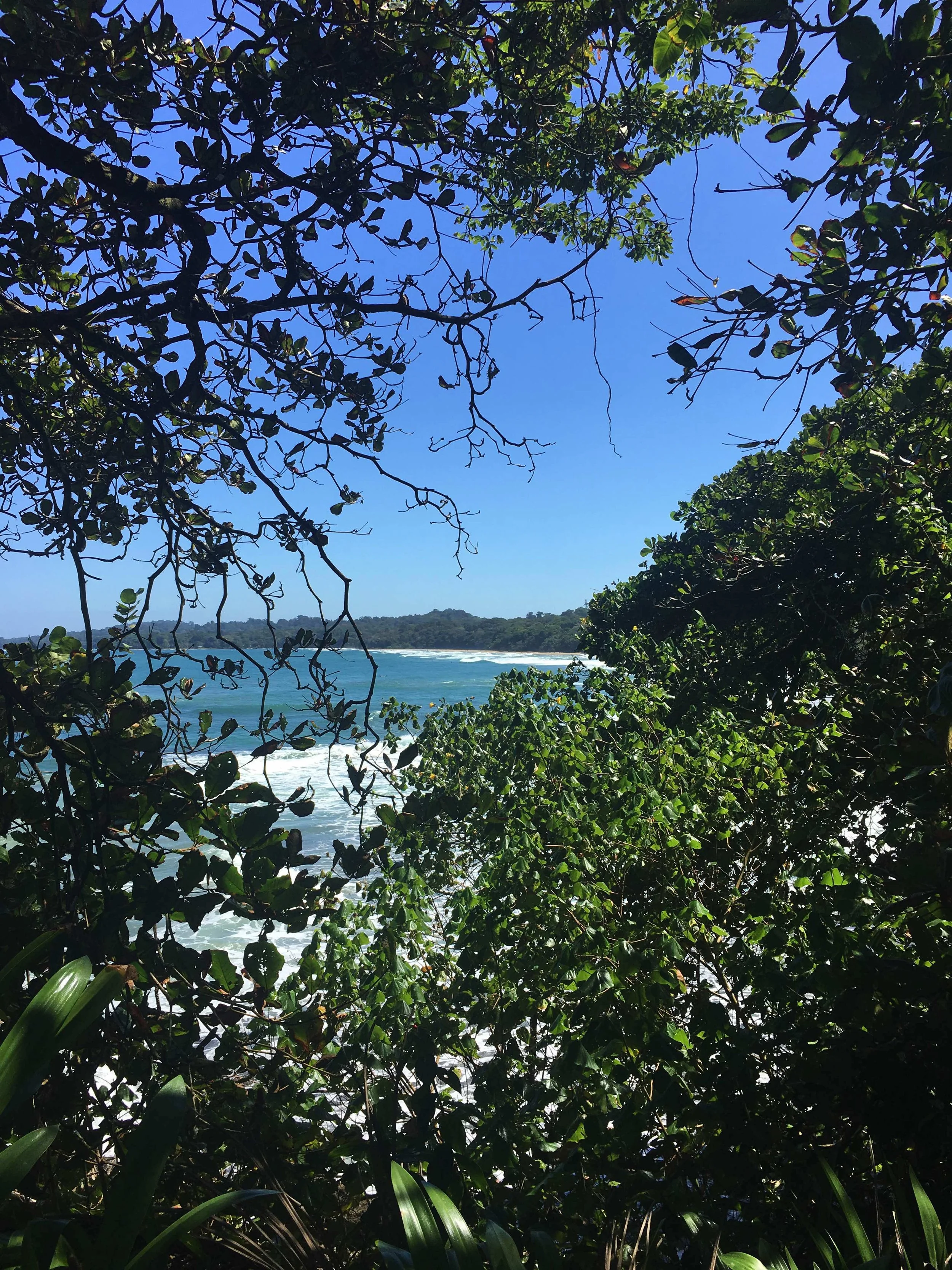 Punta Uva, Arrecife Beach, where you can go on a trek with our collaborator Vicki.