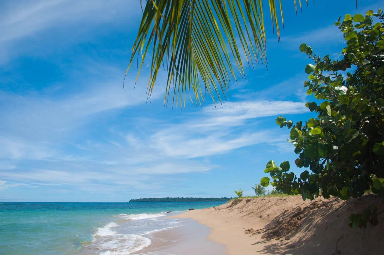 Punta Uva, Arrecife Beach, where you can go on a trek with our collaborator Vicki.