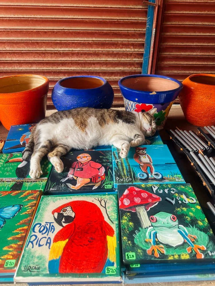 Shops of Puerto Viejo