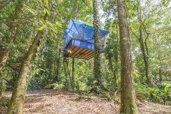 private-tree-house-2.jpg