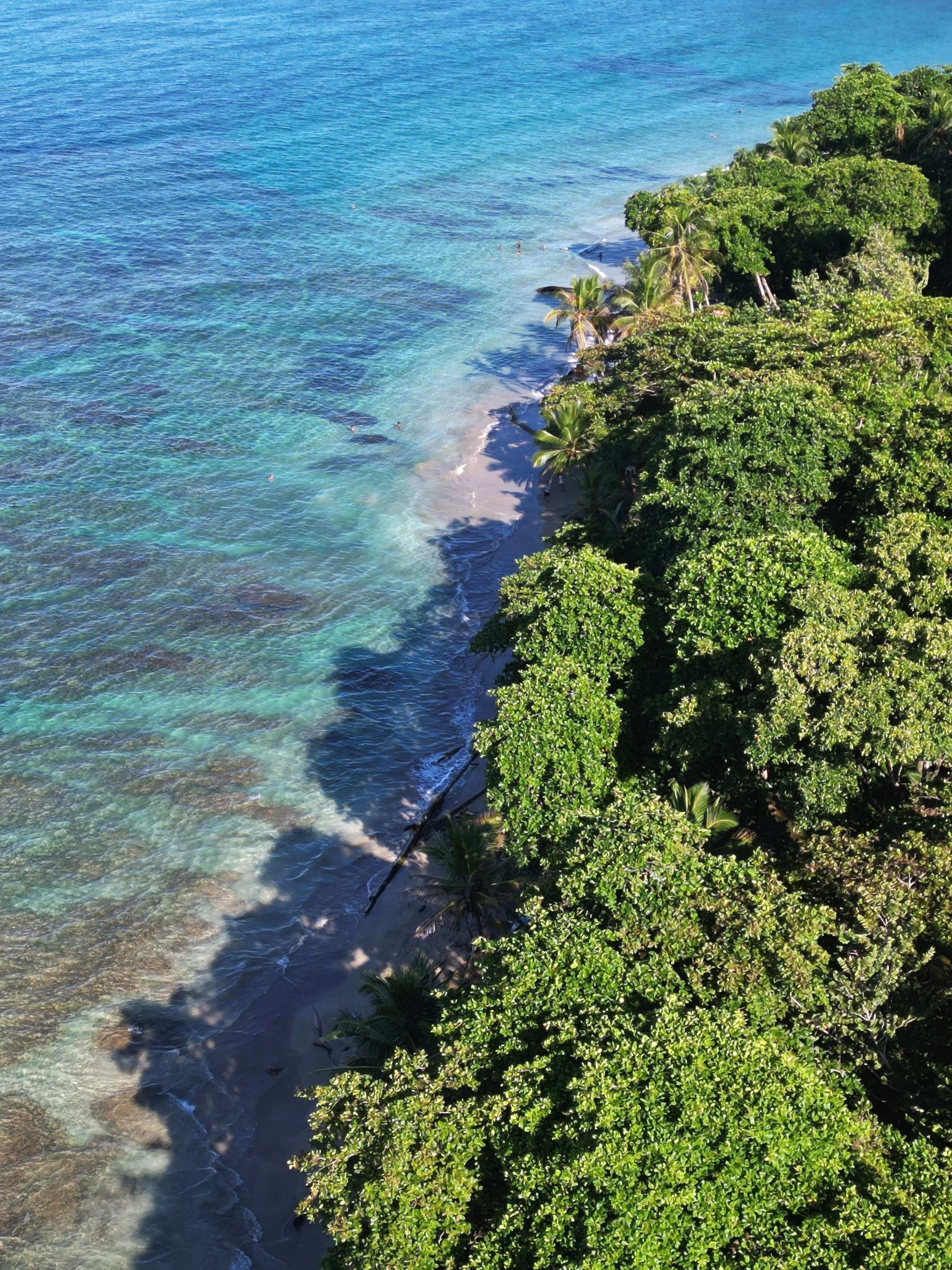 Punta Cocles, the closest beach to Kindred Spirits. This is where we go for Swimming with Horses.