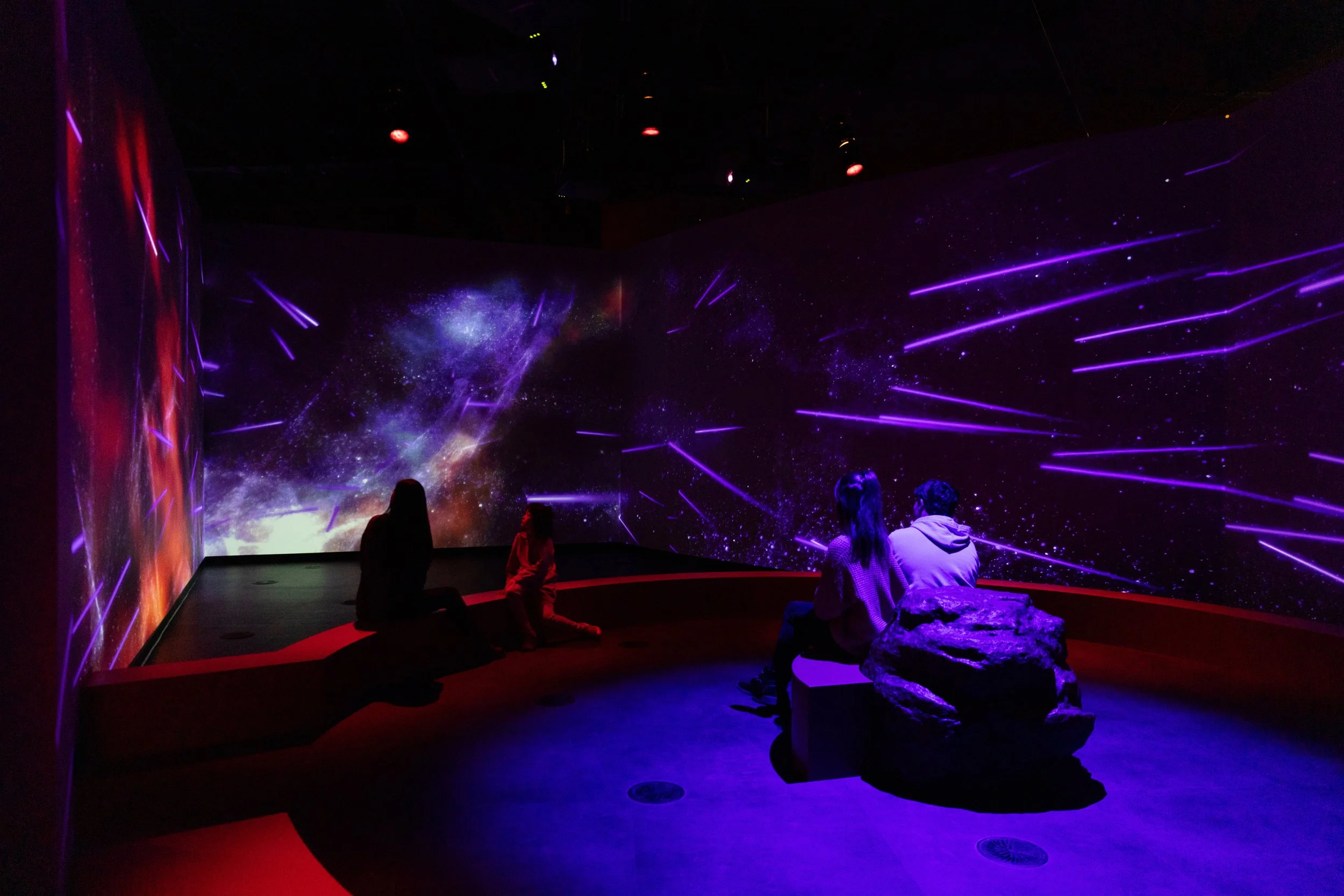 MelanieDusseault-0638_Crédit_Espace pour la vie - Mélanie Dusseault.jpeg