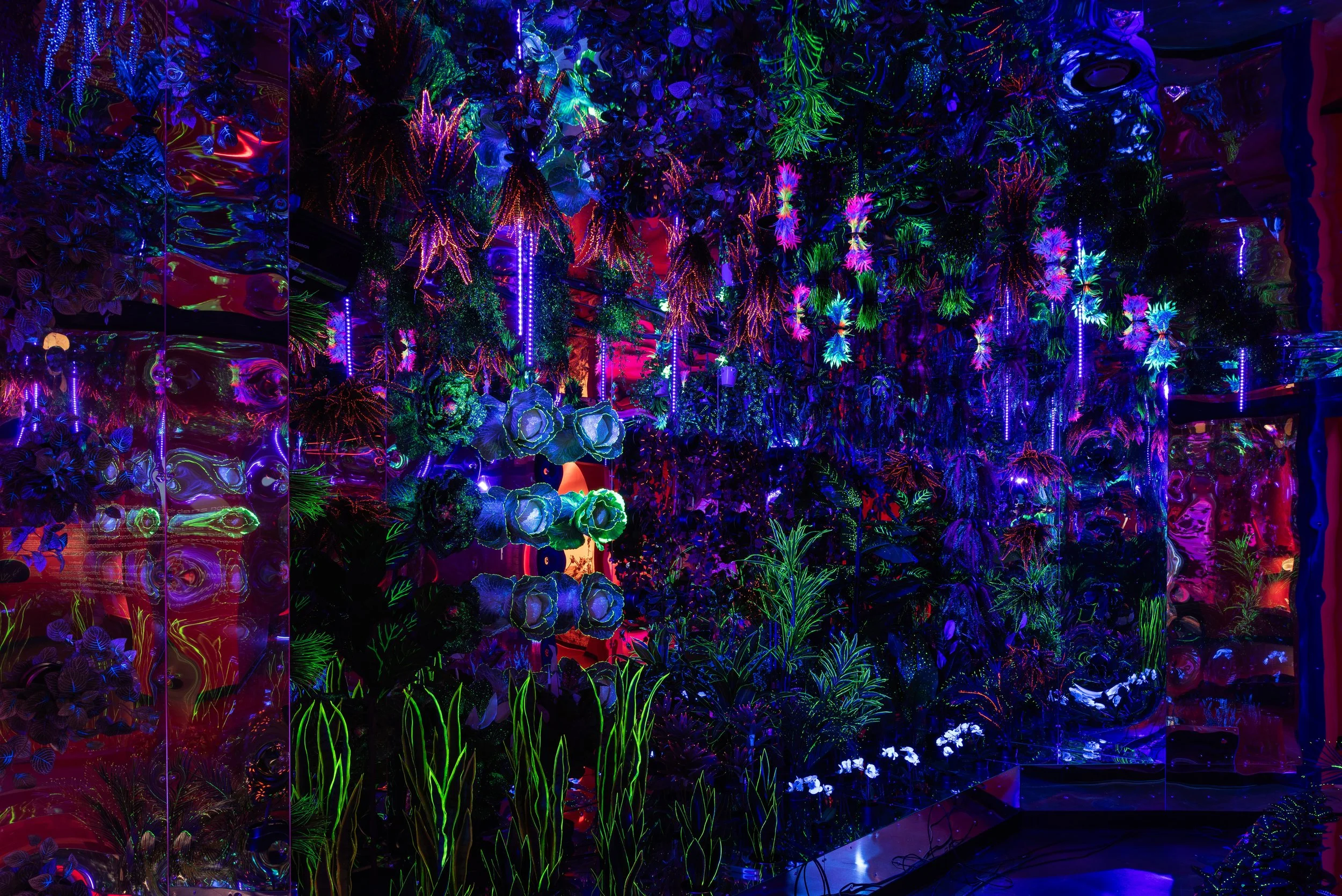 PLA001084 - Serre - Credit Espace pour la vie - Matthieu Brouillard.jpg