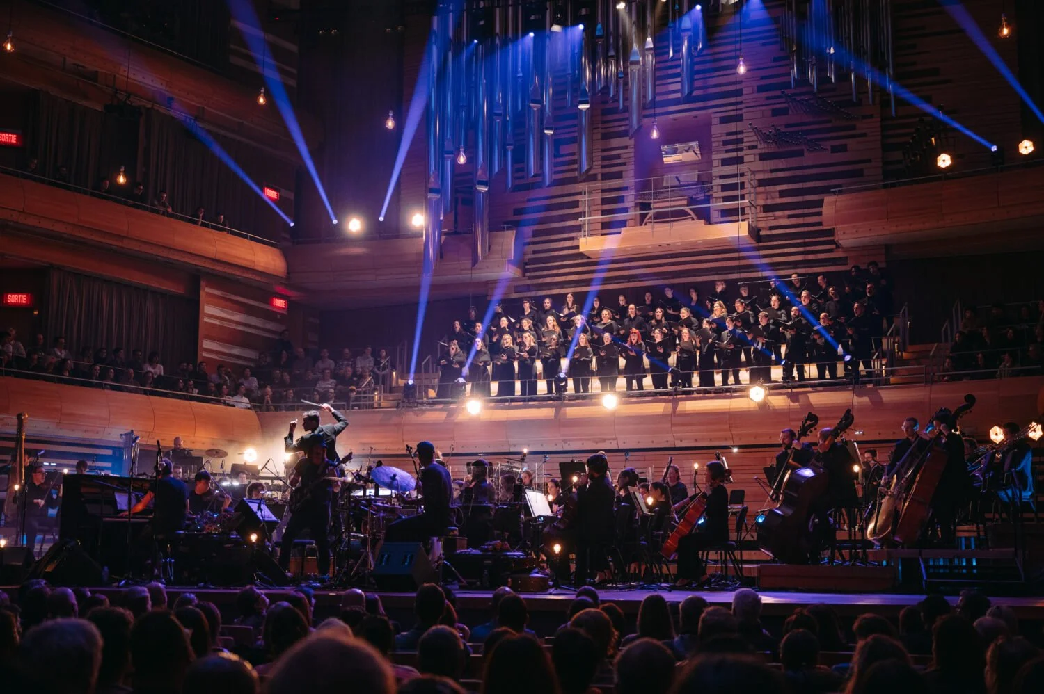 PatrickWatson3-FILMharmonique-nov-2024.jpg