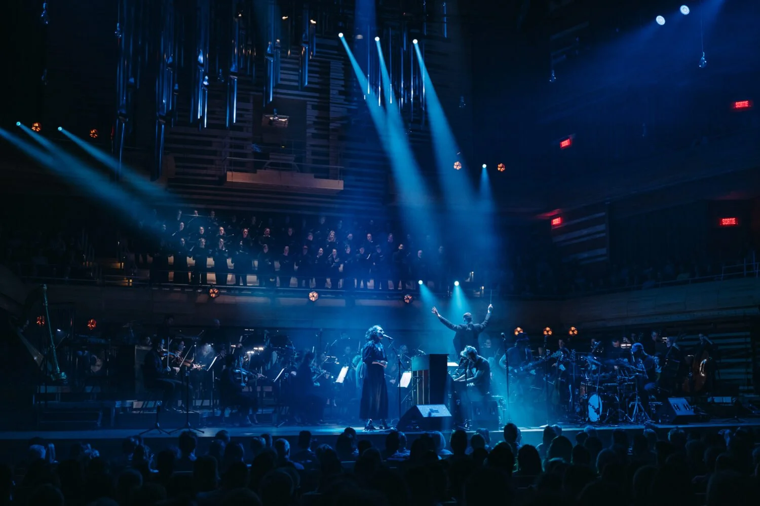 PatrickWatson2-FILMharmonique-nov-2024.jpg