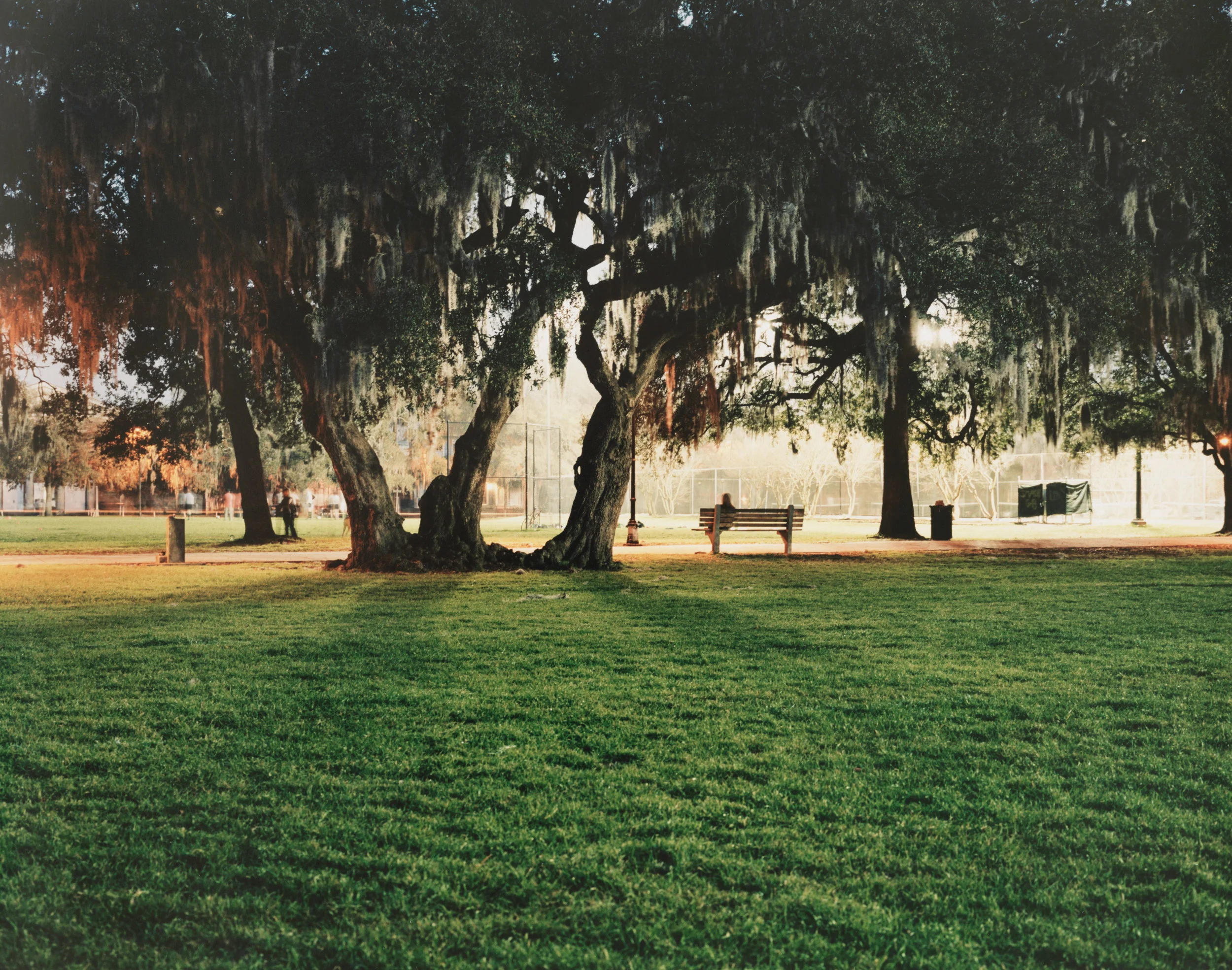 _0013.jpg