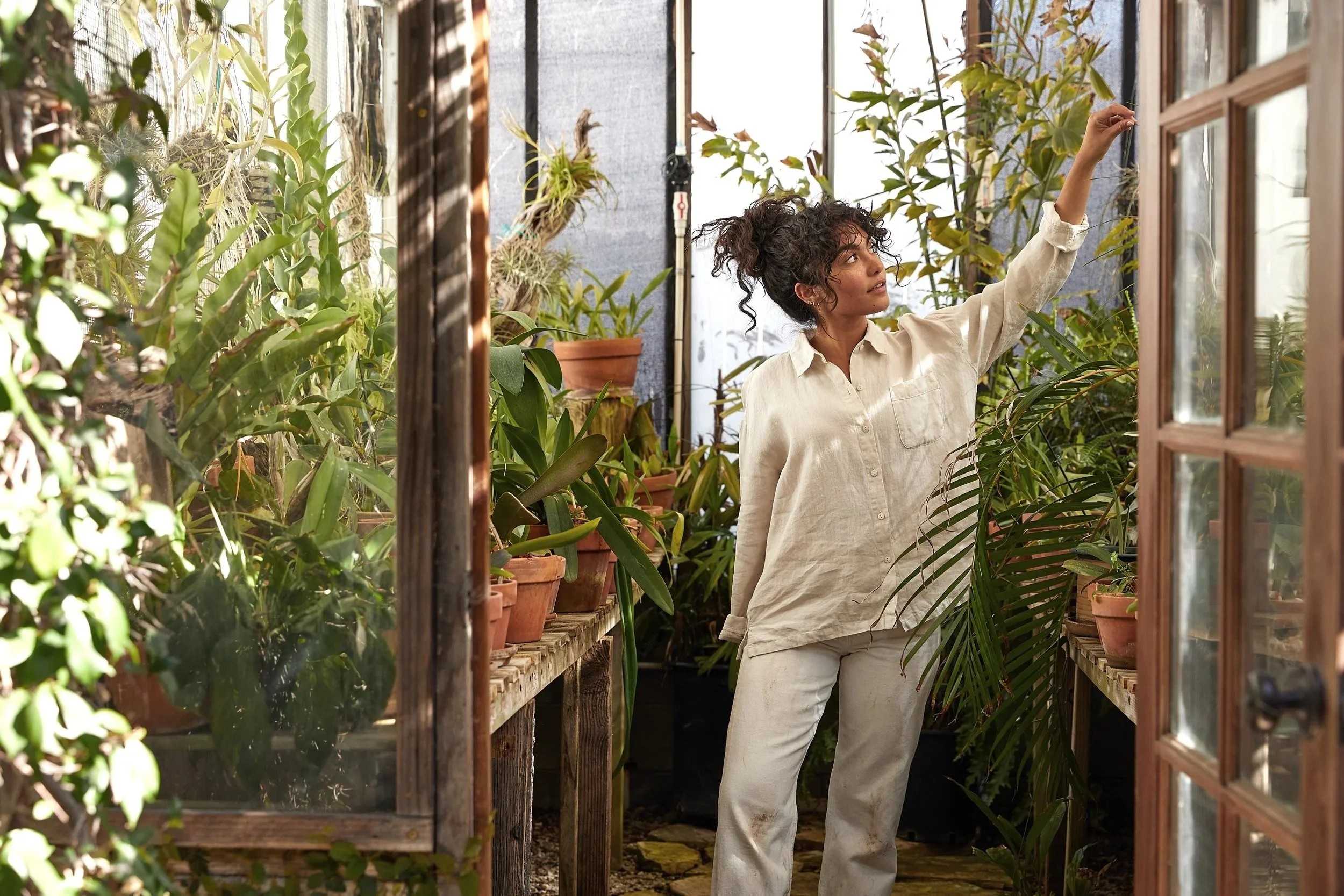 010_greenhouse-_0044.jpg