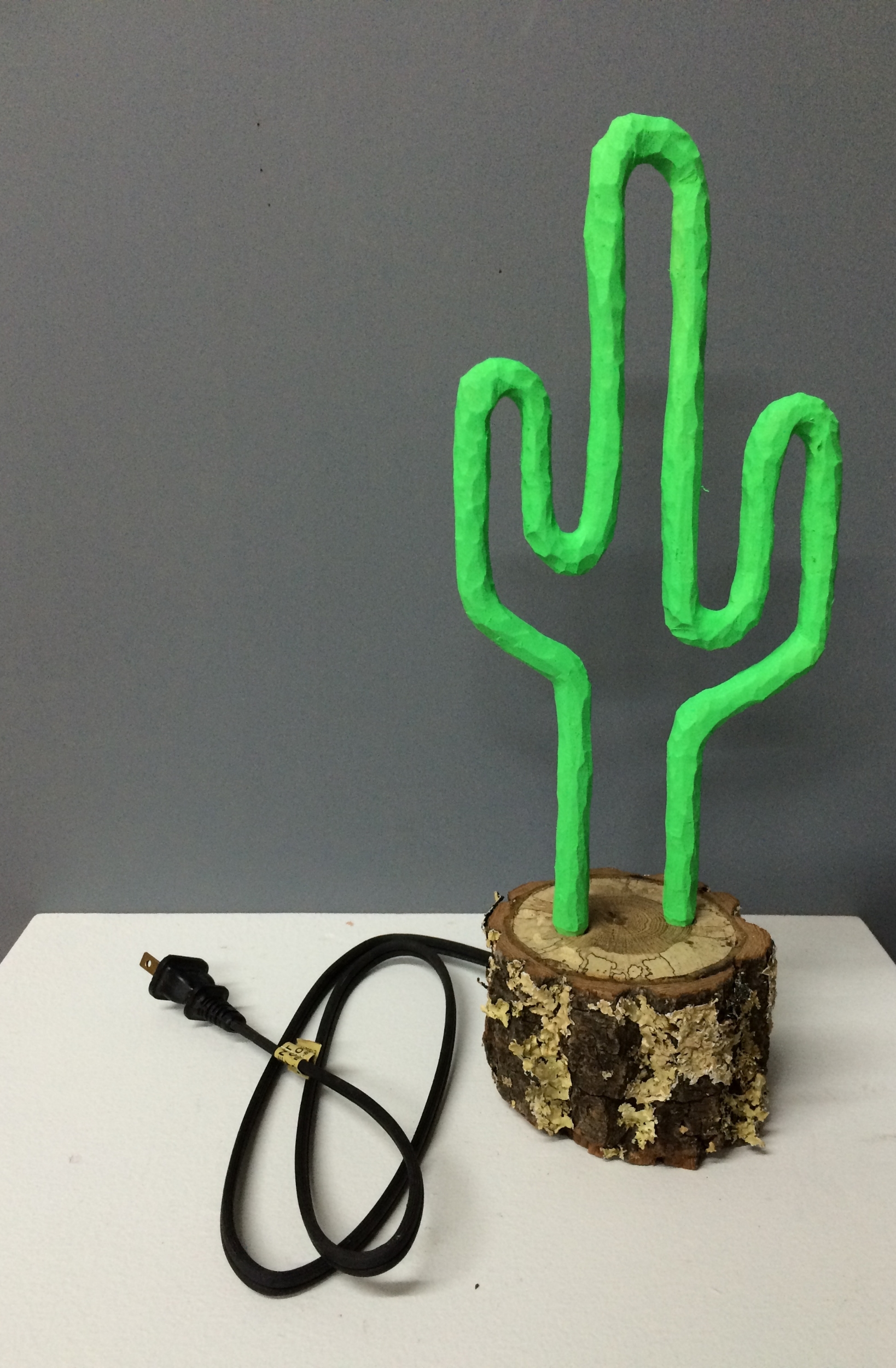 Lone Cactus