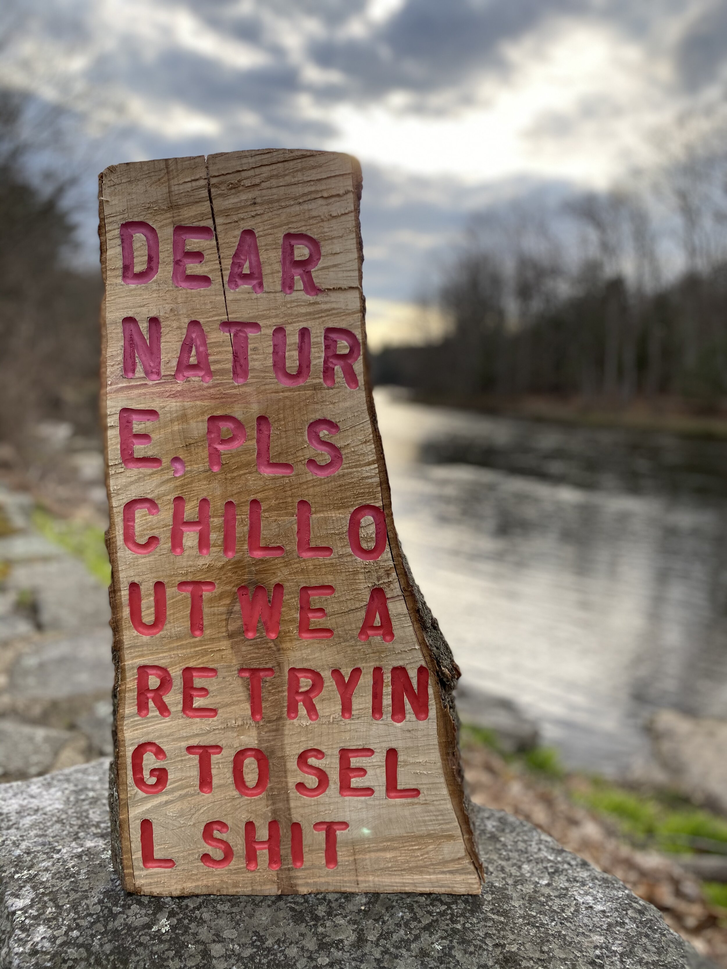 Dear Nature, 2020