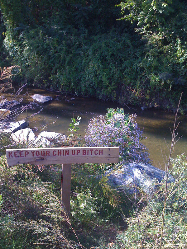 Keep Your Chin Up Bitch, 2009 (Pacolet River, Tryon, NC)
