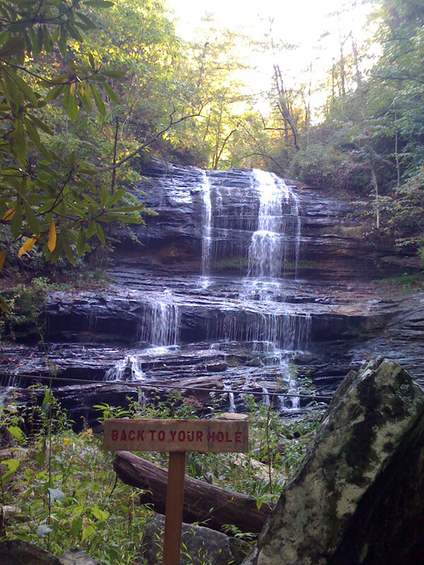 Back To Your Hole, 2009 (Pearson’s Falls, Saluda, NC)