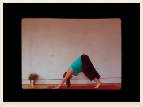 Lezanne vinyasa prenatal con Gracia (Copy)