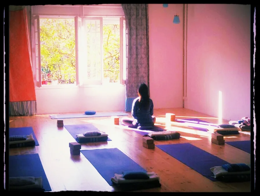 El Sol &amp; los arboles la vista perfecta en Espacio Norte