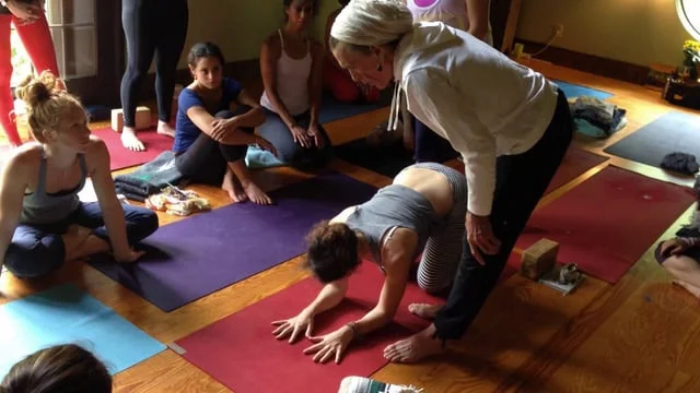 Yoga at wild woodstock learning Pincha Mayurasana (Copy)