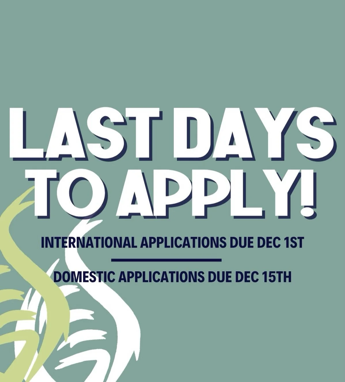 Applications to be a delegate close in a few weeks! ‼️🚨 
Remember to submit your application before the deadline of December 1st for international applicants and December 15th for domestic applicants!