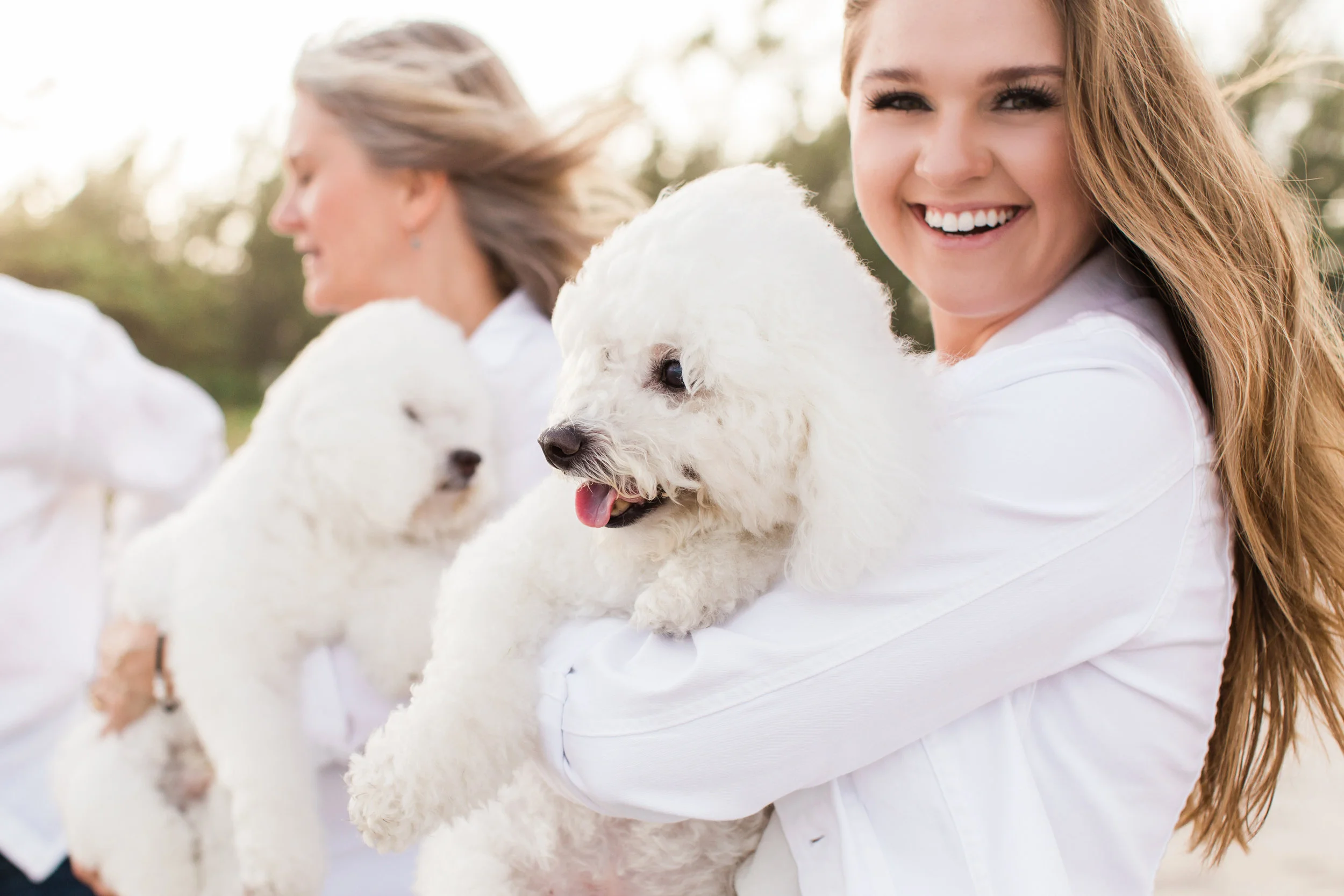 Spanish River Dog Park Photography Session