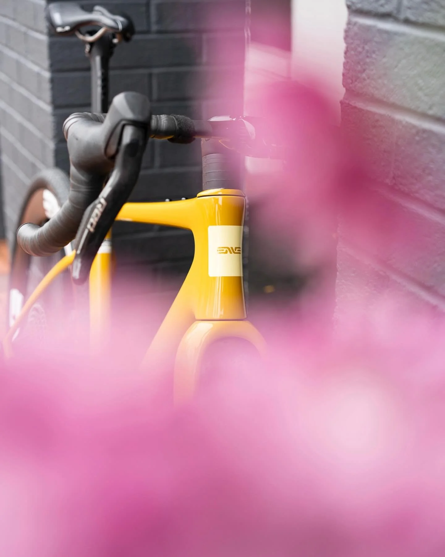 New ACME build: ENVE Mog in Compass Yellow ⚡️💛

&bull; SRAM Red XPLR w/ Power
&bull; ENVE SES 4.5 wheelset
&bull; Continental Terra Speed 45mm tires
&bull; ENVE AR bars + In-Route stem
&bull; ENVE seatpost @envecomposites