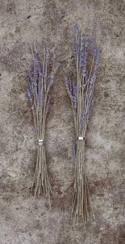 Two bundles of dried lavender flowers threaded through to wedding rings on a textured concrete surface.