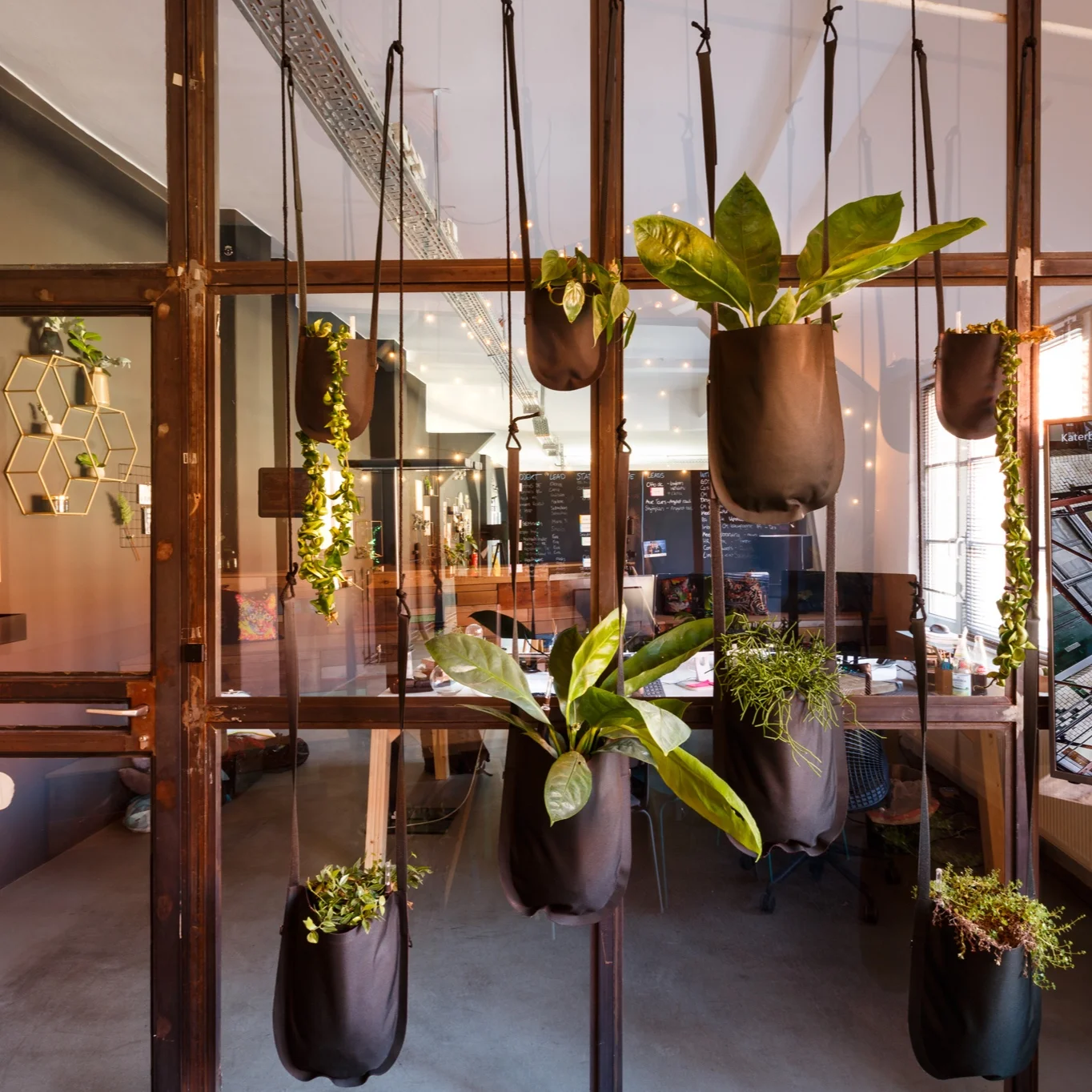 PeakAce-Büro-Glastrennwand-Pflanzendeko-Dittmarandfriends.jpg
