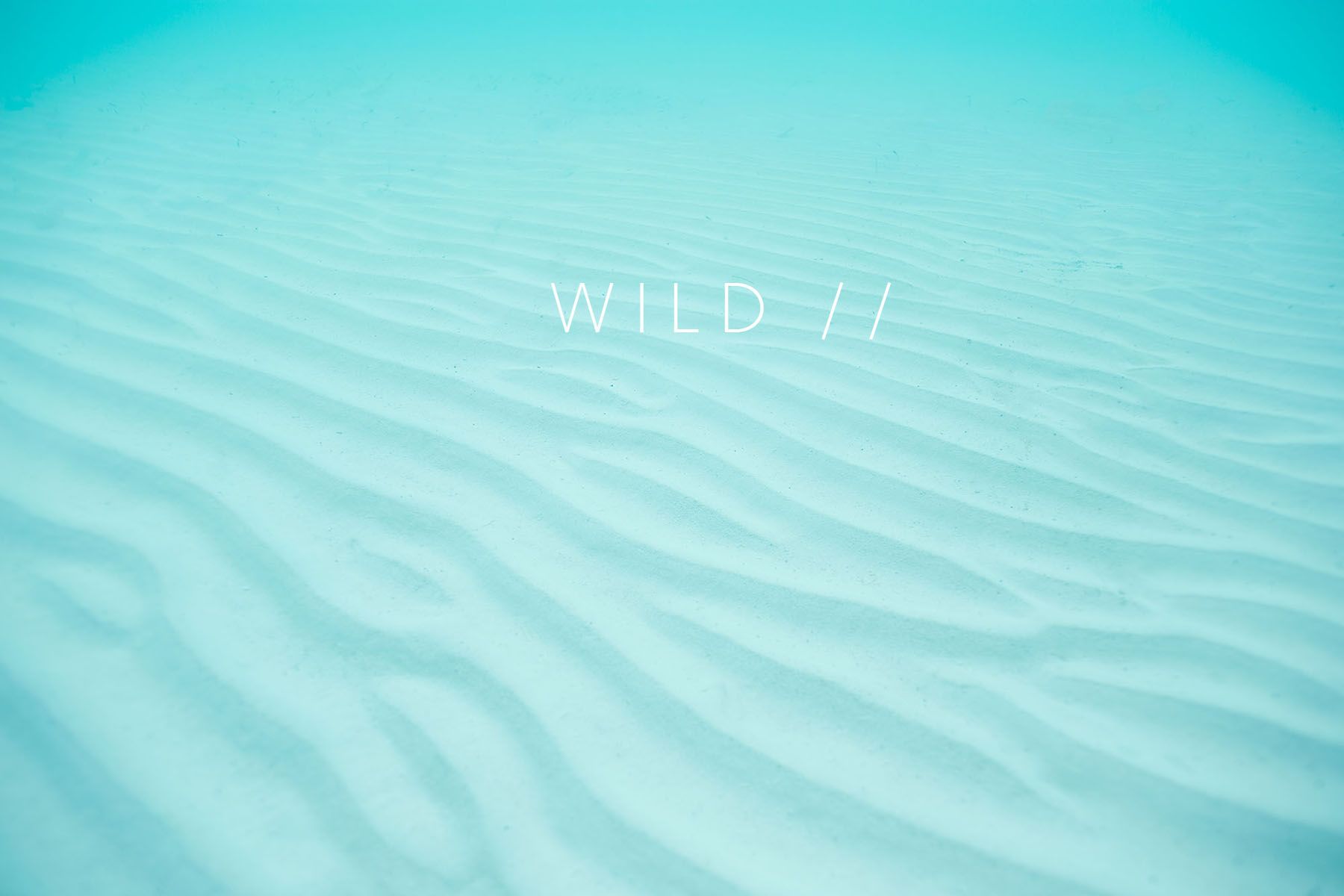 Rosen_130415_0048 copy.jpg