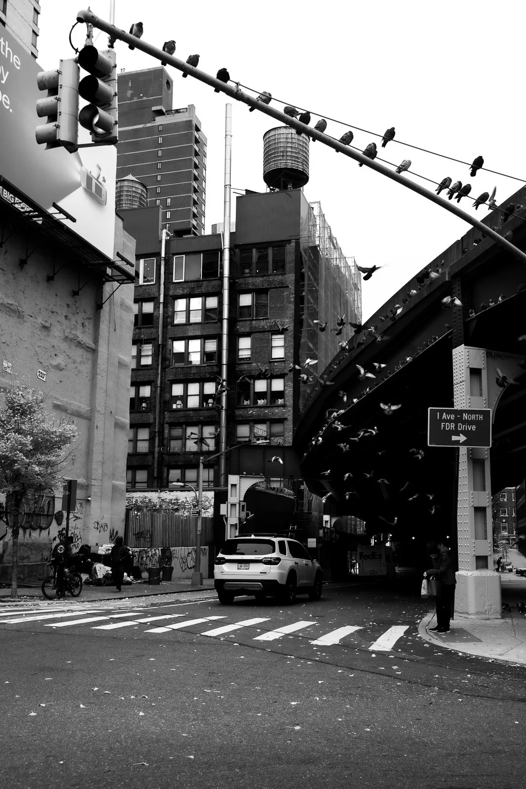 CR5_0785.jpg