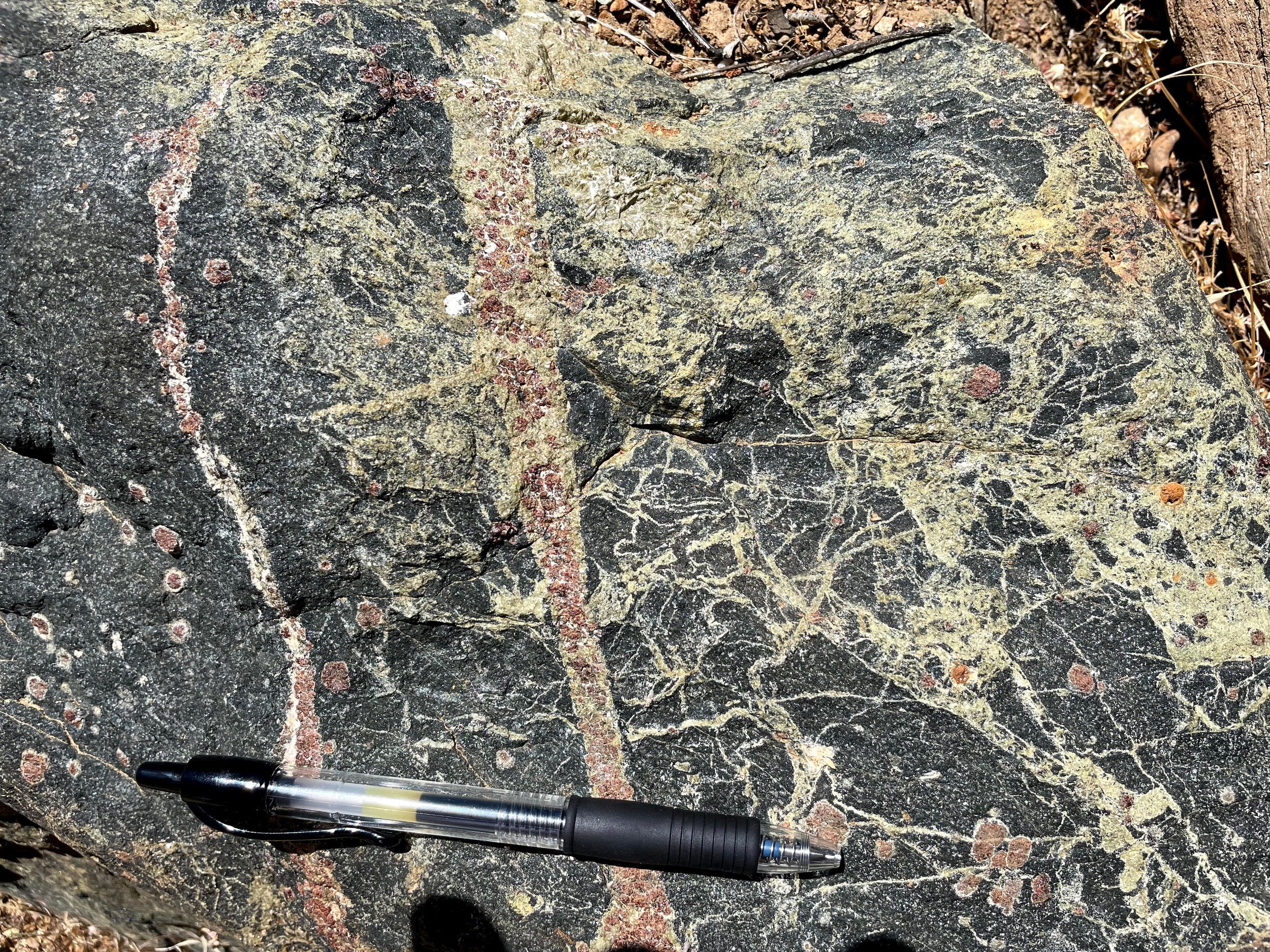 garnetite_veins_in_amphibolite.jpg