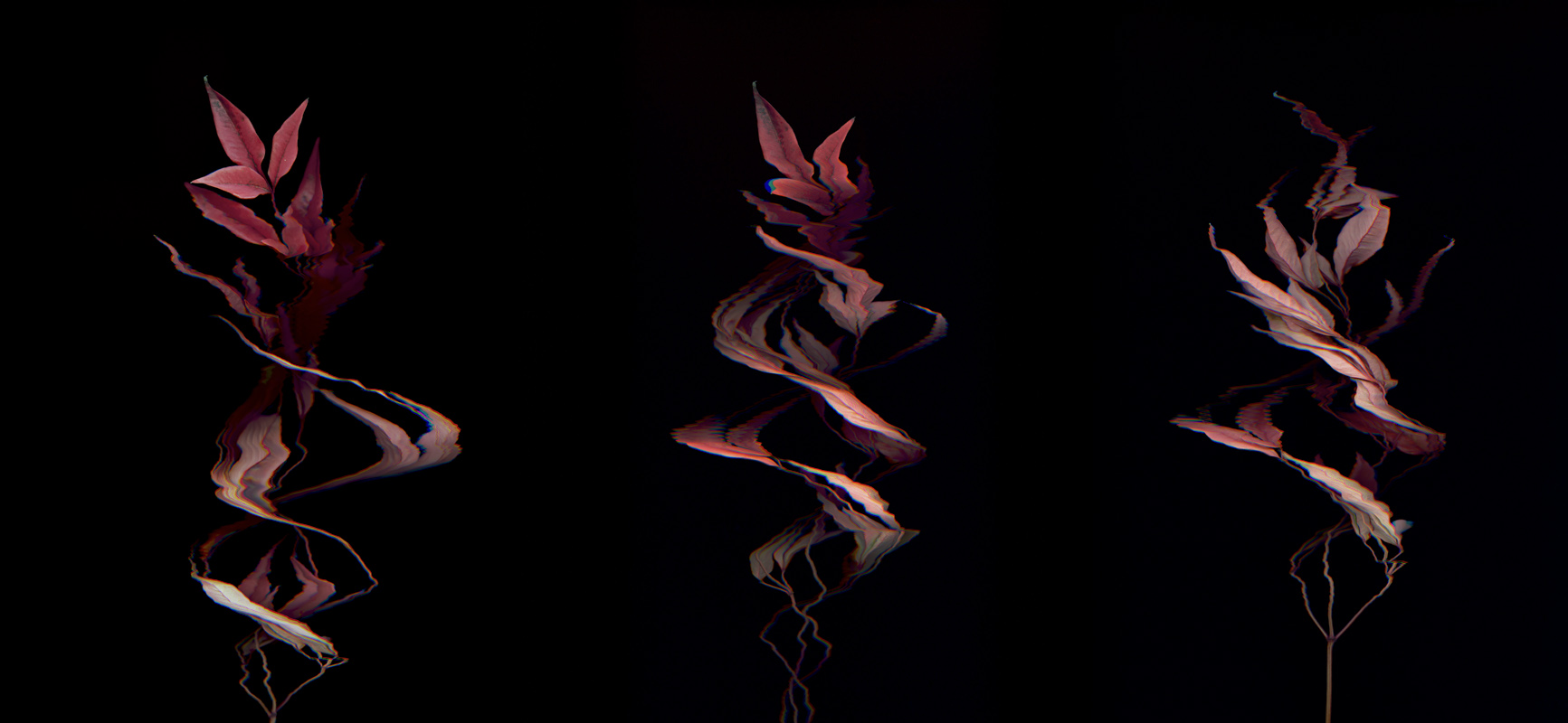 Binarium I