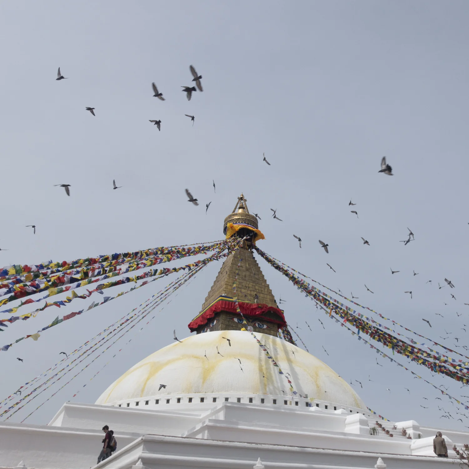 Nepal 6