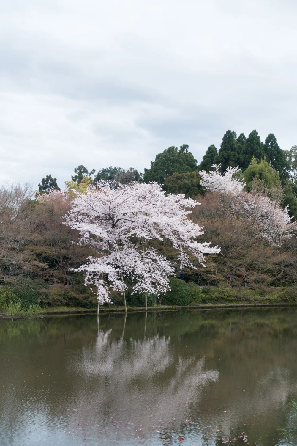 Japan 28