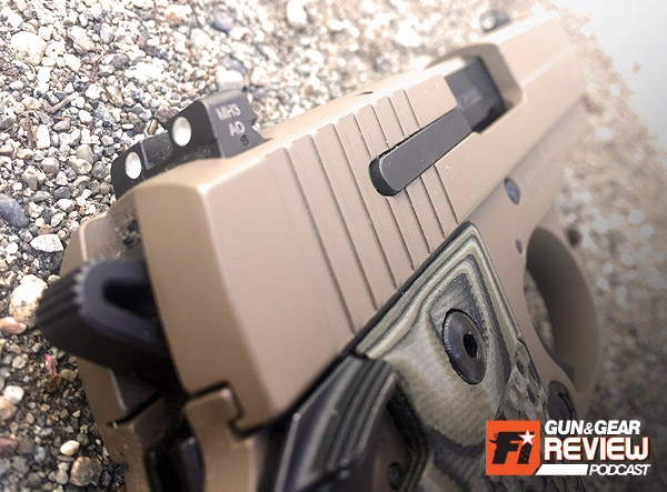 At first the ~$7-800 price tag was daunting to me, but the inclusion of SIG LITE night sights from the factory and the cerakote job made it easier to justify.