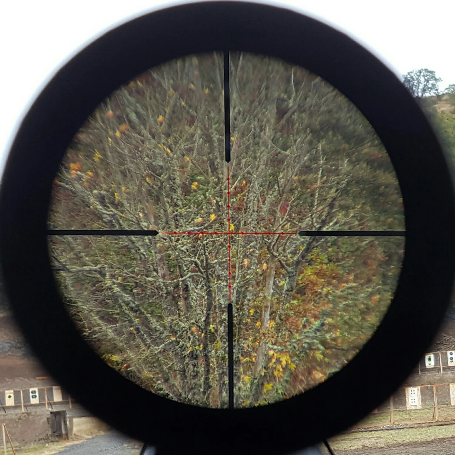 Tree at about 400 yds