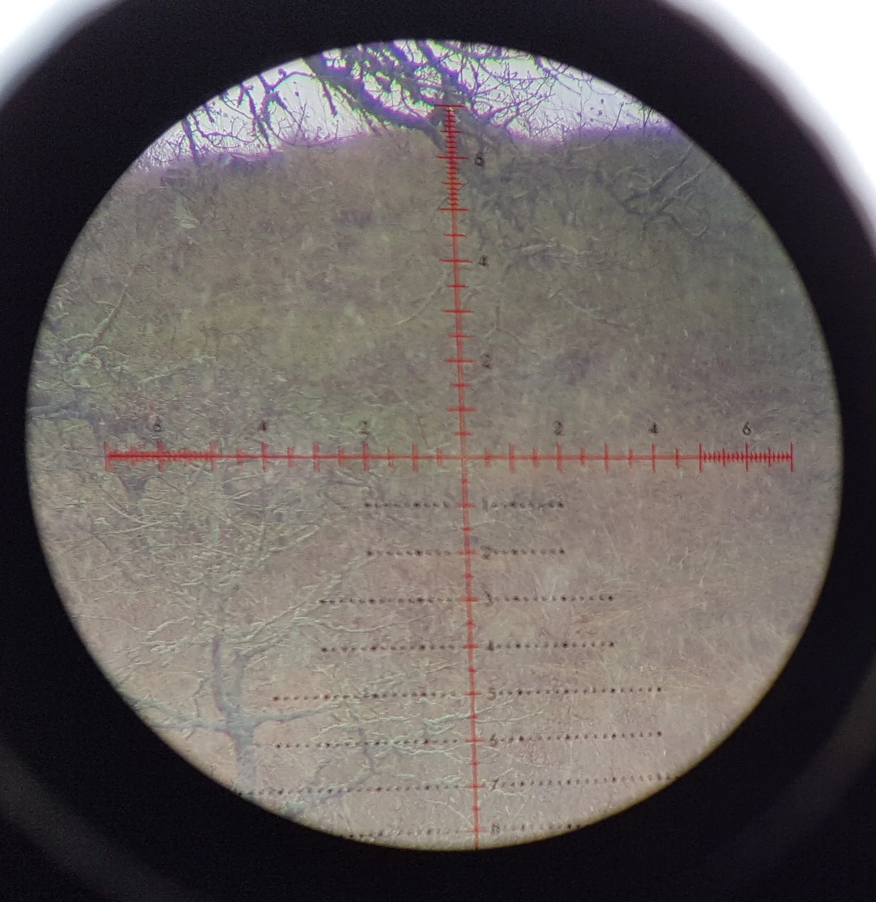 385 yards, Snowing, 25x, Illuminated