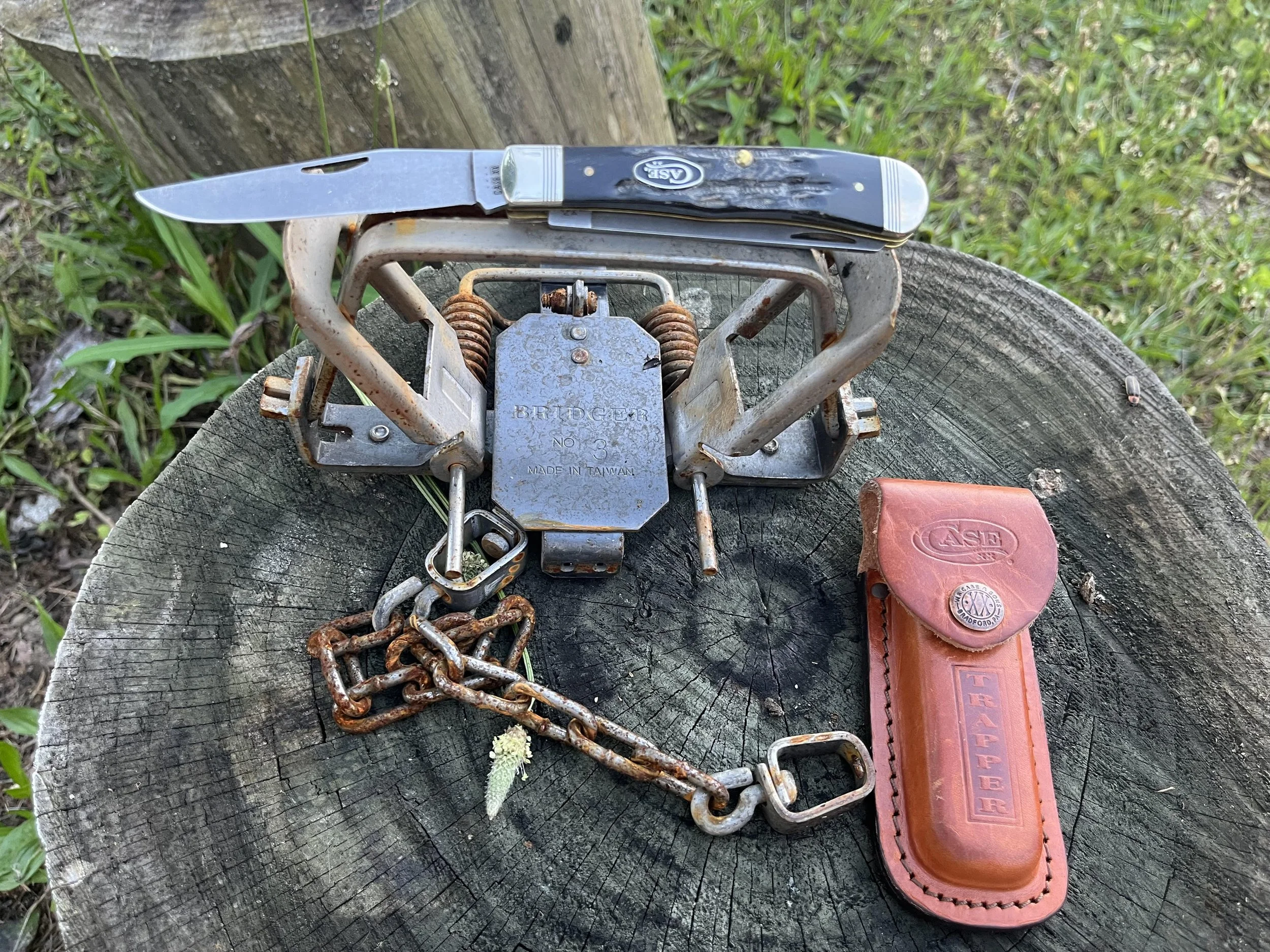 Case Trapper: Jigged Buffalo Horn S35VN