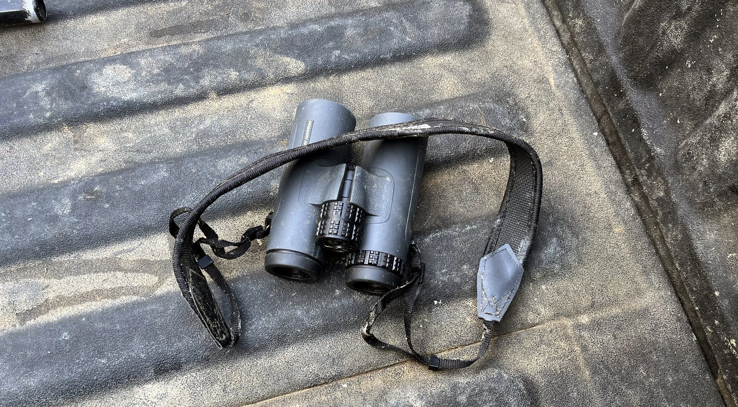 Primary Arms GLX 10x42 ED Binoculars