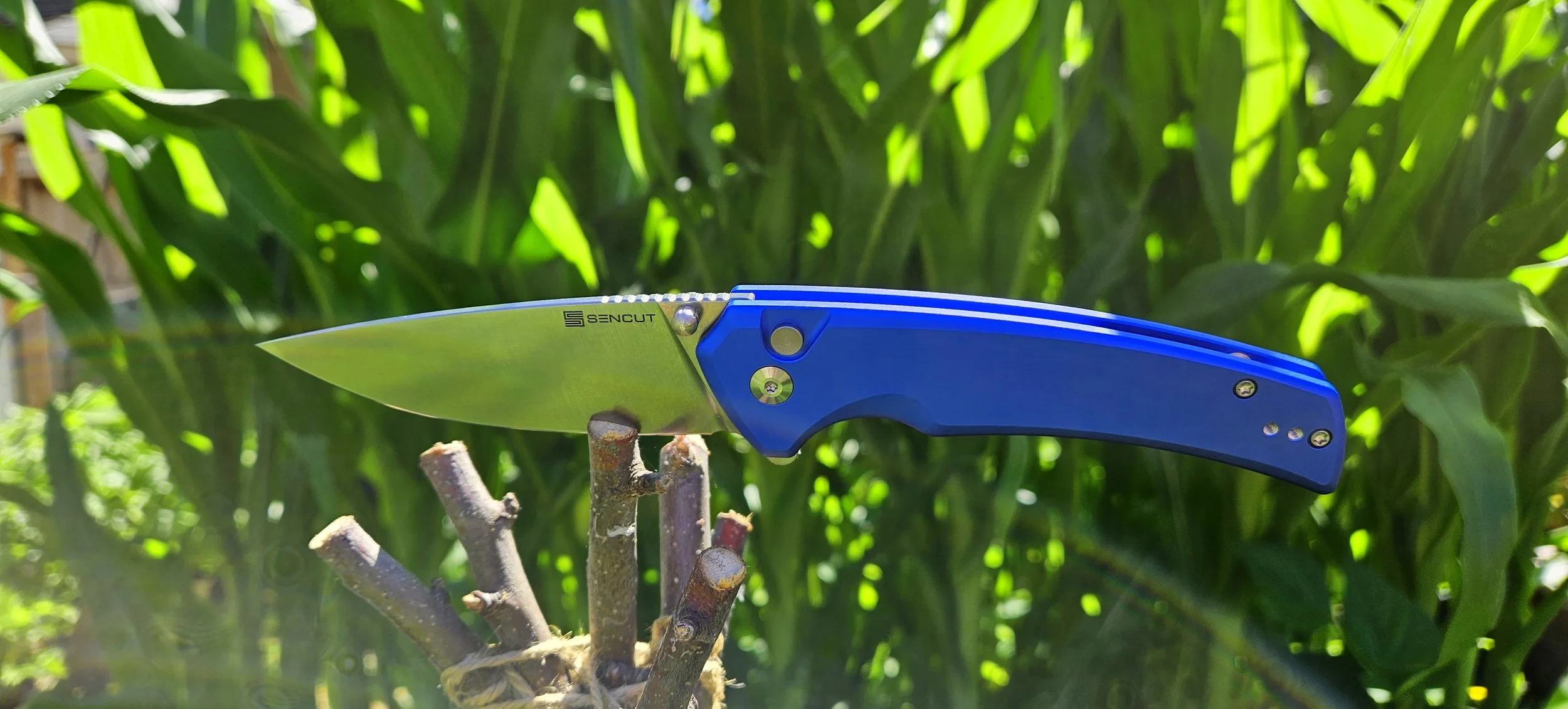 Sencut Serene