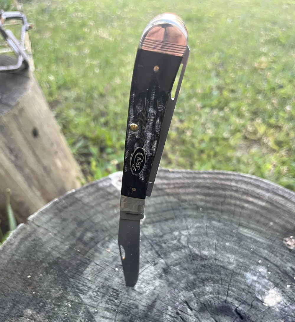 Case Trapper Jigged Buffalo Horn S35VN — Firearms Insider