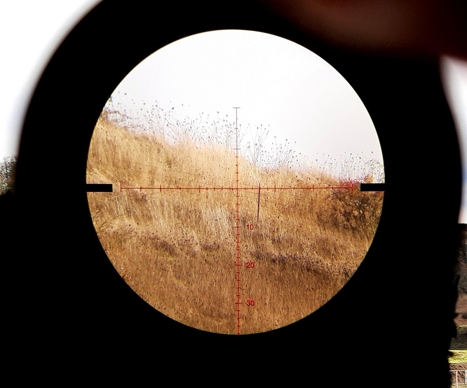 Primary Arms SLx 4-16x44 FFP — Firearms Insider