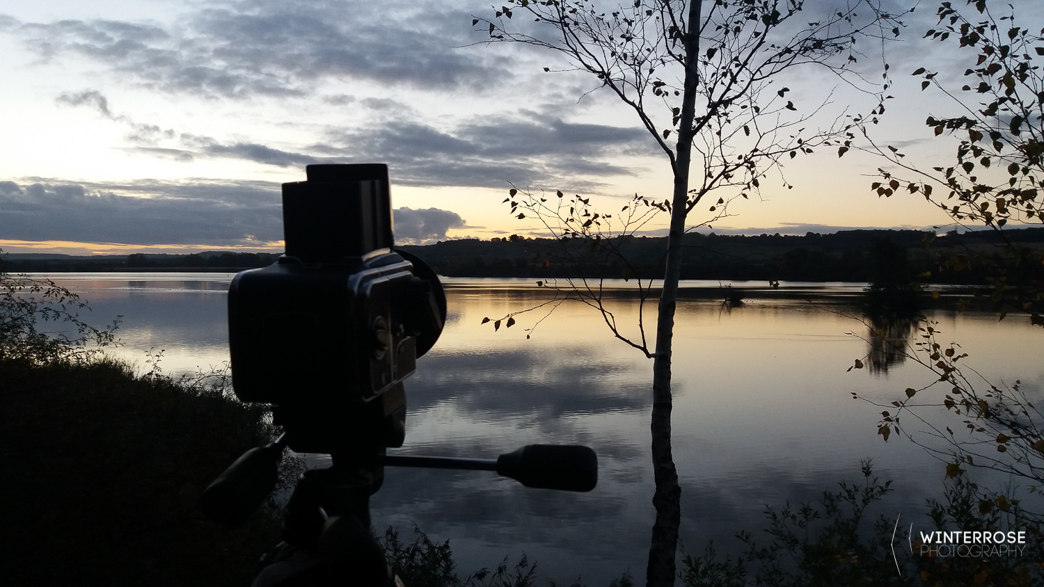 A morning at the local lake