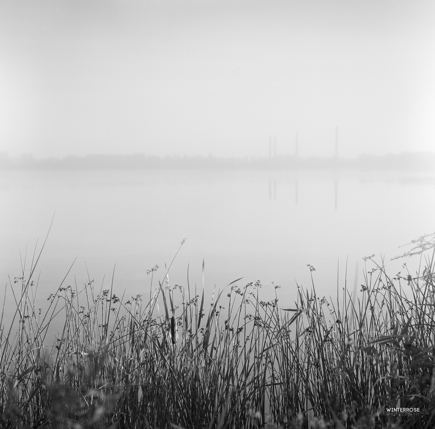 Fuji Acros 100