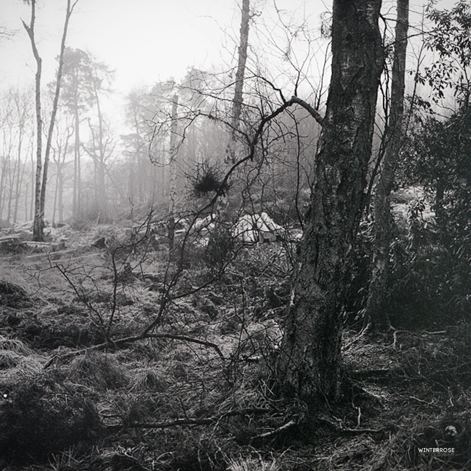 Ilford HP5+