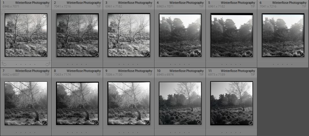 The original scans. Why 11 instead of 12? Well, it would appear that when winding the film on when loading in the changing bag, I wound it on a little too much and therefore run out of film....