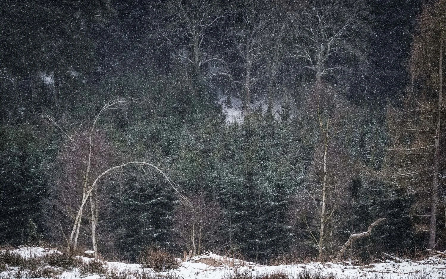 I've photographed this view and composition a few times now, so it was nice to get a version of it in the snow. Lords Hill, Rushmere Country Park.